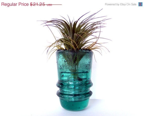 Vintage Glass Insulator Housing Air Plant