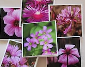 Purple flowers Mini photo Cards or Gift Tags (set of 6) / pansy photo cards / butterfly photo cards