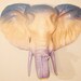 THE OMBRE COLLECTION - Elephant