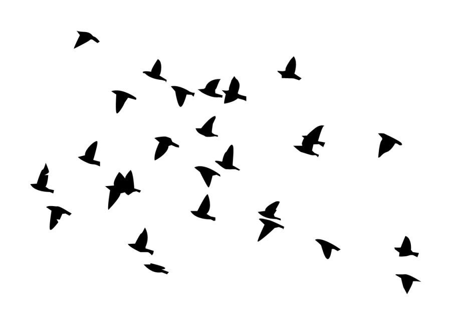 Flock of Birds in Flight Vinyl Wall Decal 22163