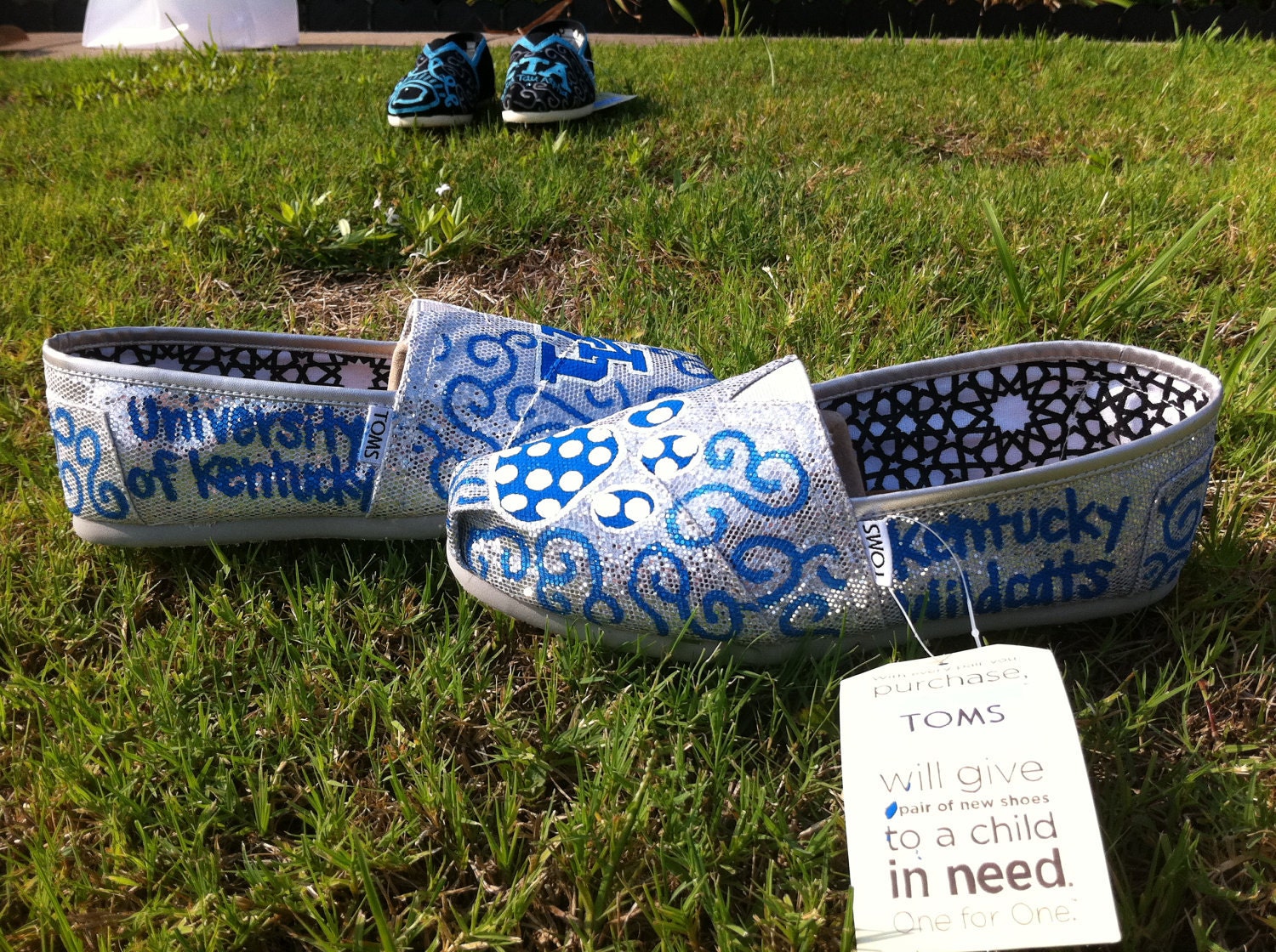 Custom Glitter TOMS Shoes