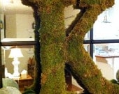 Custom Made Moss Covered Letters