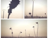 The Sunflowers Postcard Set