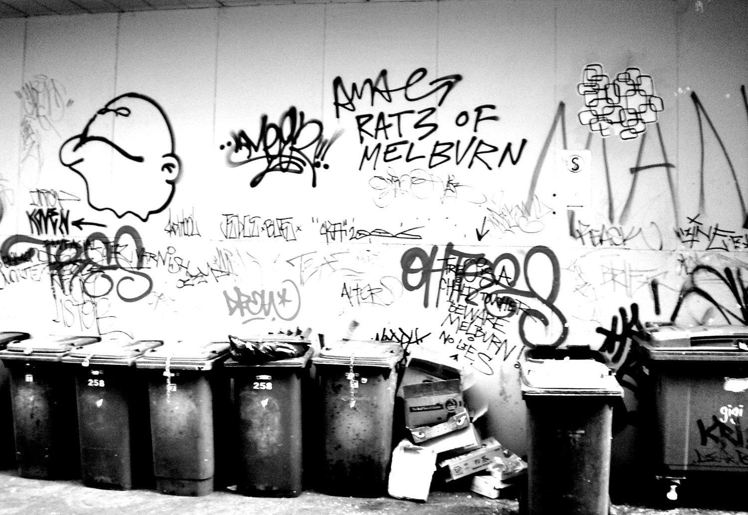 The Garbage Photograph 16 x 20" Canvas Print
