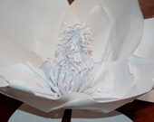 Gorgeous Southern Magnolia - Huge Handcrafted Paper Flower