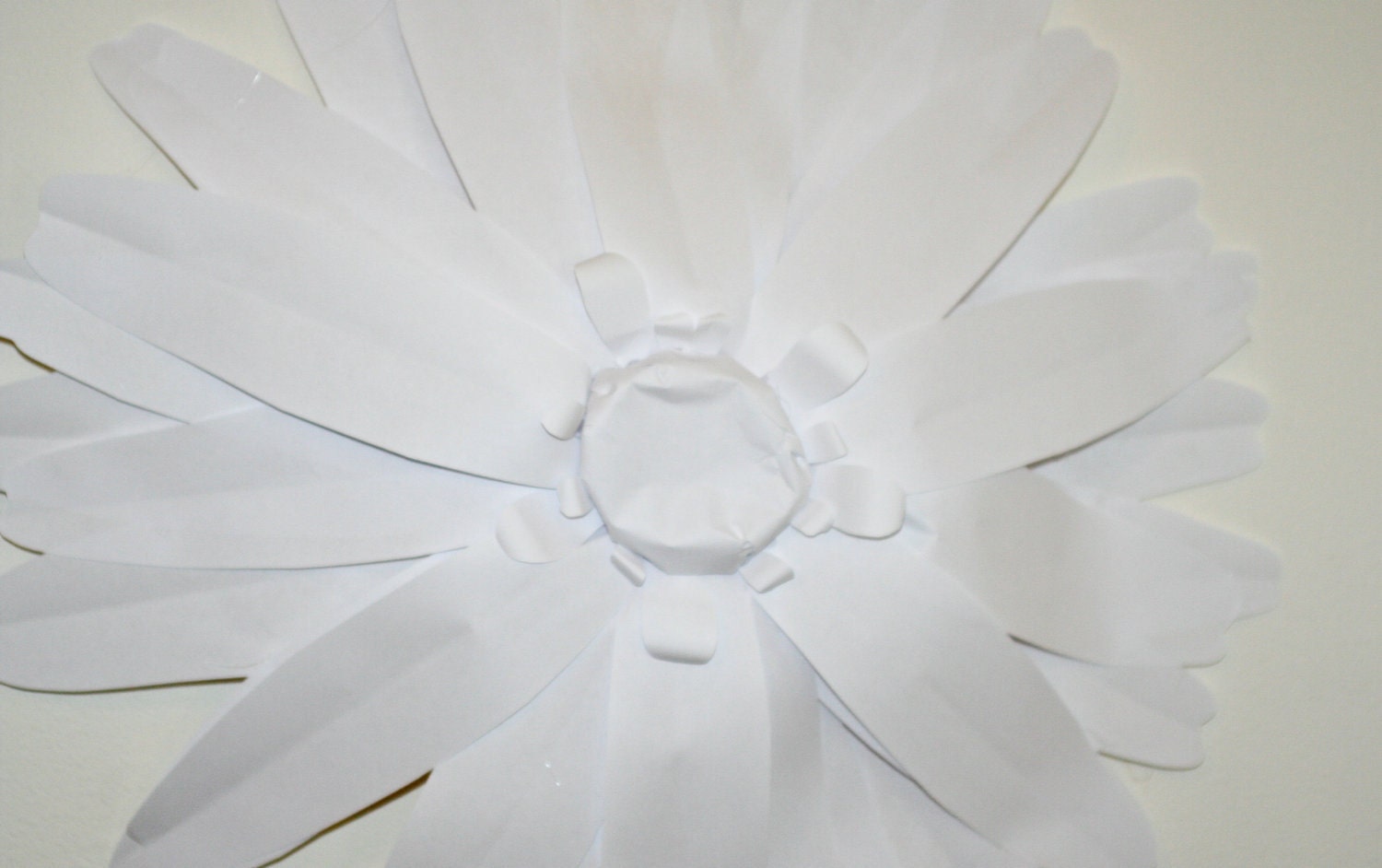Beautiful Huge Paper Daisy