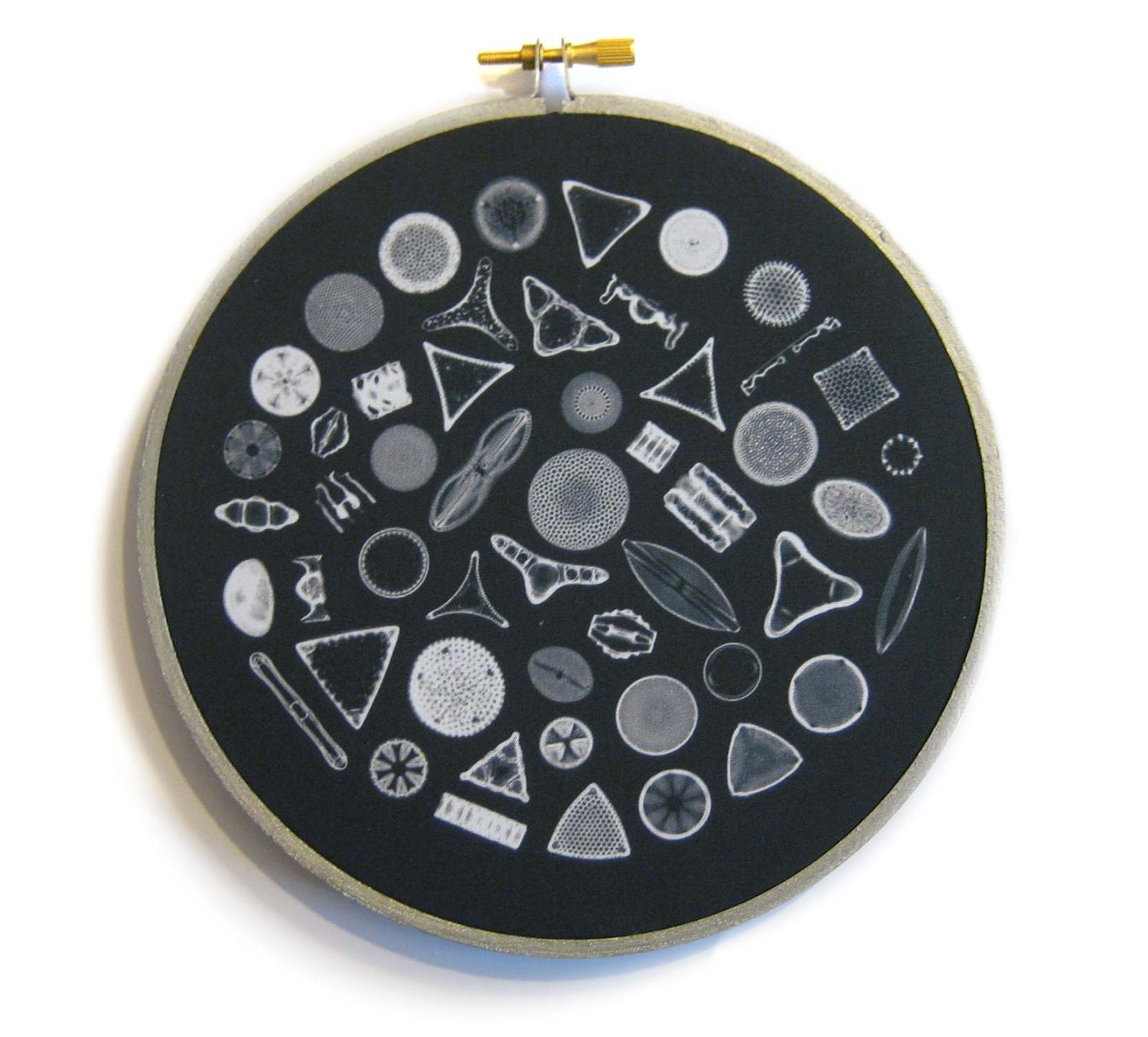 Microflora in Embroidery Hoop: Fabric art