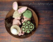 Crochet The Tortoise and the Hare Set Bunny and Turtle Set Combo