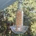 wine bottle bird feeder