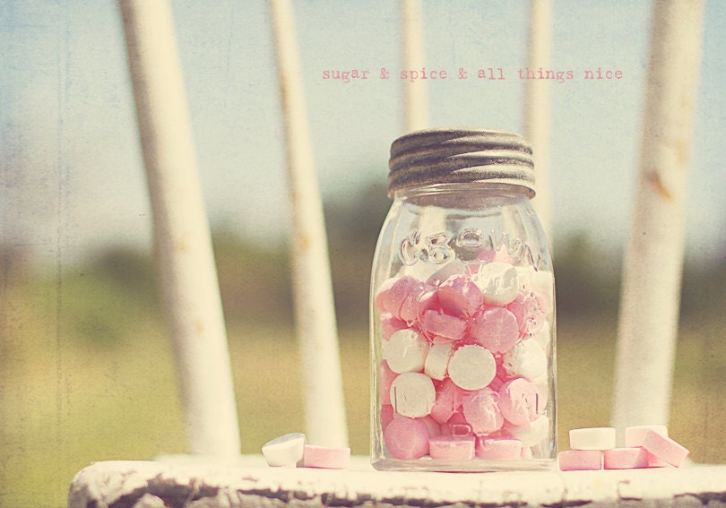Pink White Candy Jar Photo Art Print (Version 2) - 8 x 12