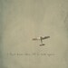 Airplane Jet Plane Photo Art Print Fly Sky (Version 1) - 5 x 5