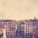 Spanish Steps View Photo Art Print Rome Italy Europe Travel Rustic - 8 x 8