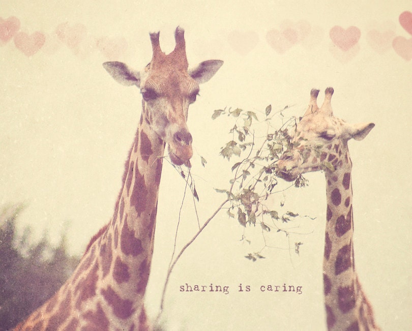 Animals Sharing Food