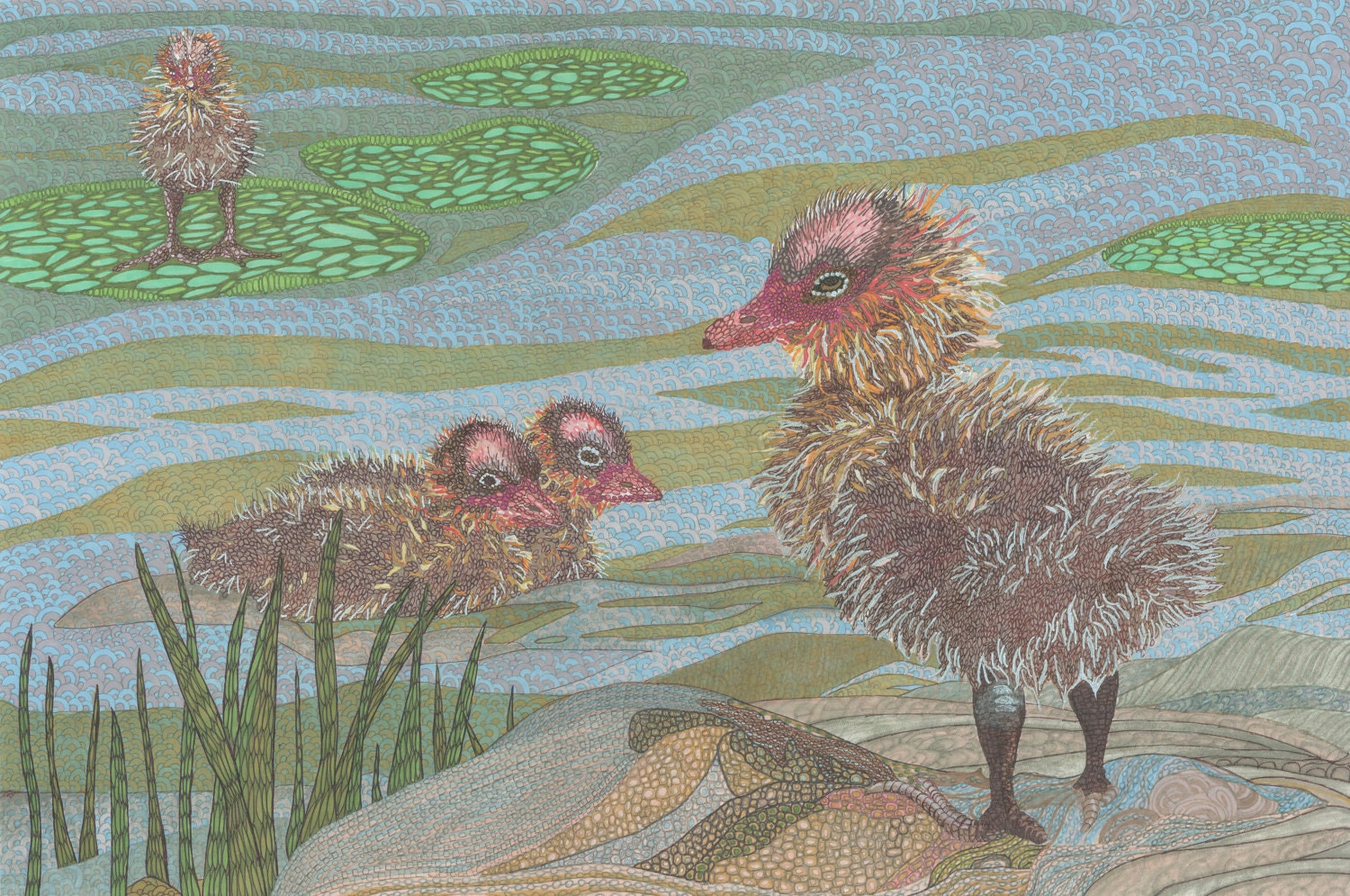Bird Art Print - The Good Coot
