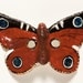 Paper mache butterfly mask