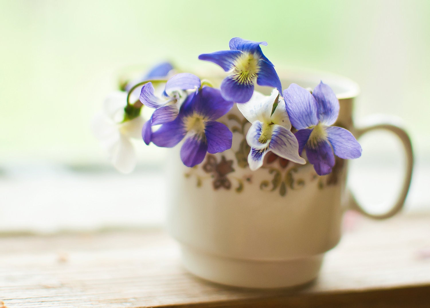 Flower Photography - Blank Notecard - Violets in a Cup