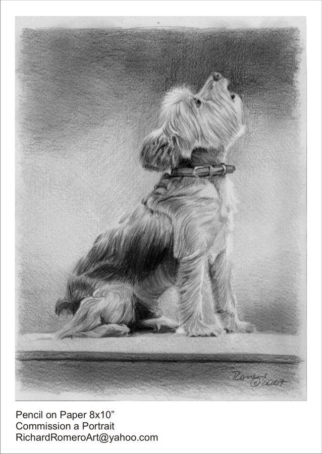 Dog Custom made pencil drawing portrait on Bristol paper from your own photo - hand made graphite puppy pet