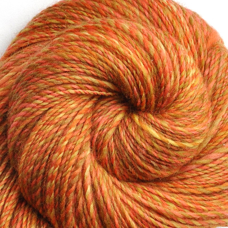 Handspun yarn - CARROT SALAD - Handpainted Falkland wool plied with domestic wool, DK weight, 605 yards