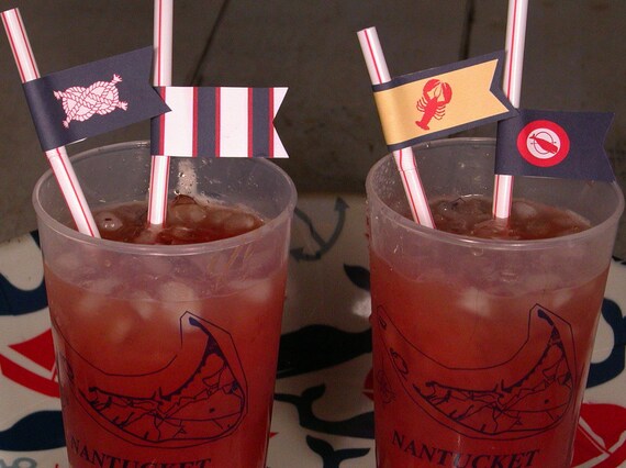 Nautical Printable Party Flags Il_570xn