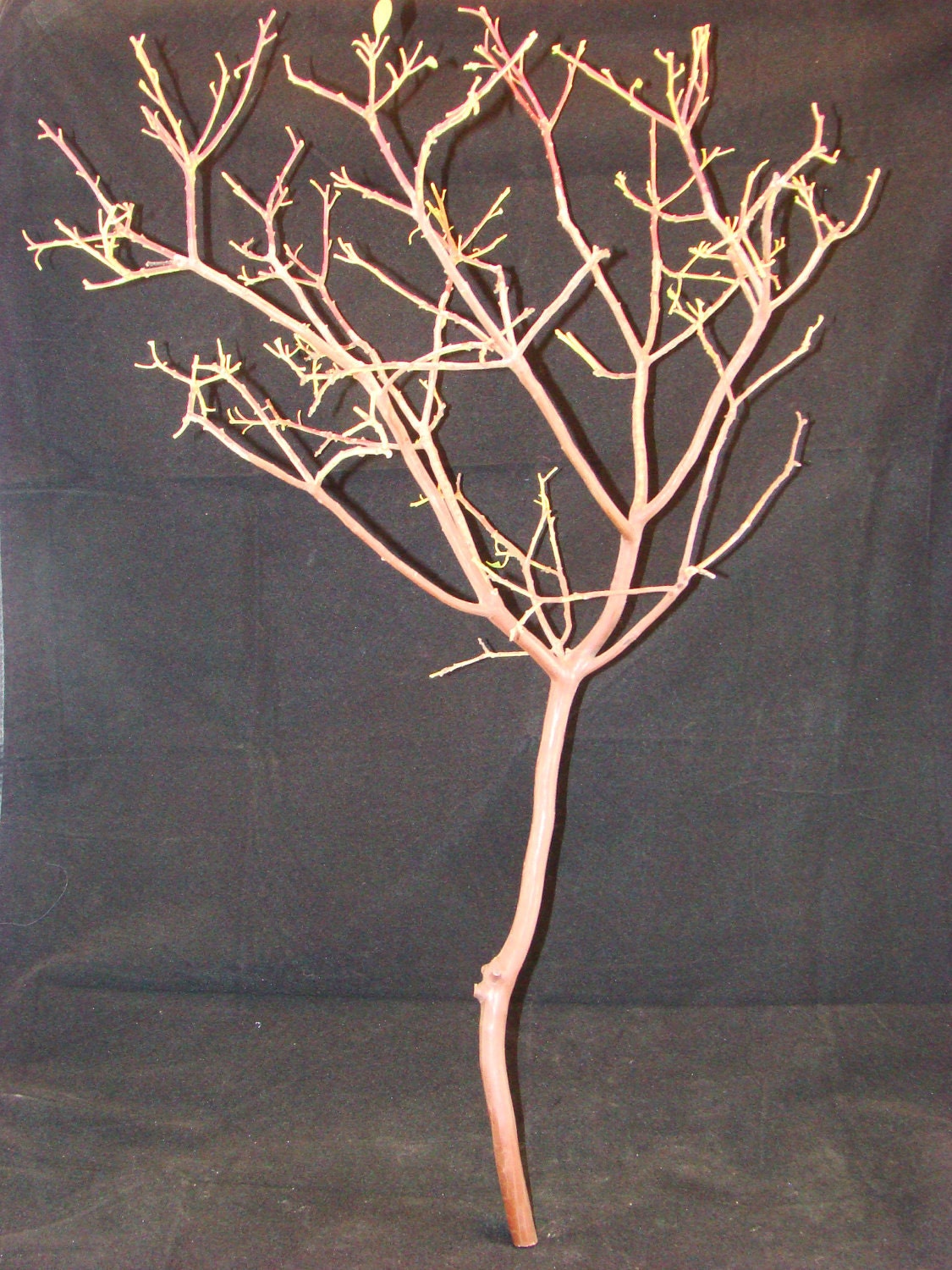 Manzanita Branches 8-pack   Floral Decorations, Crafts, Parties