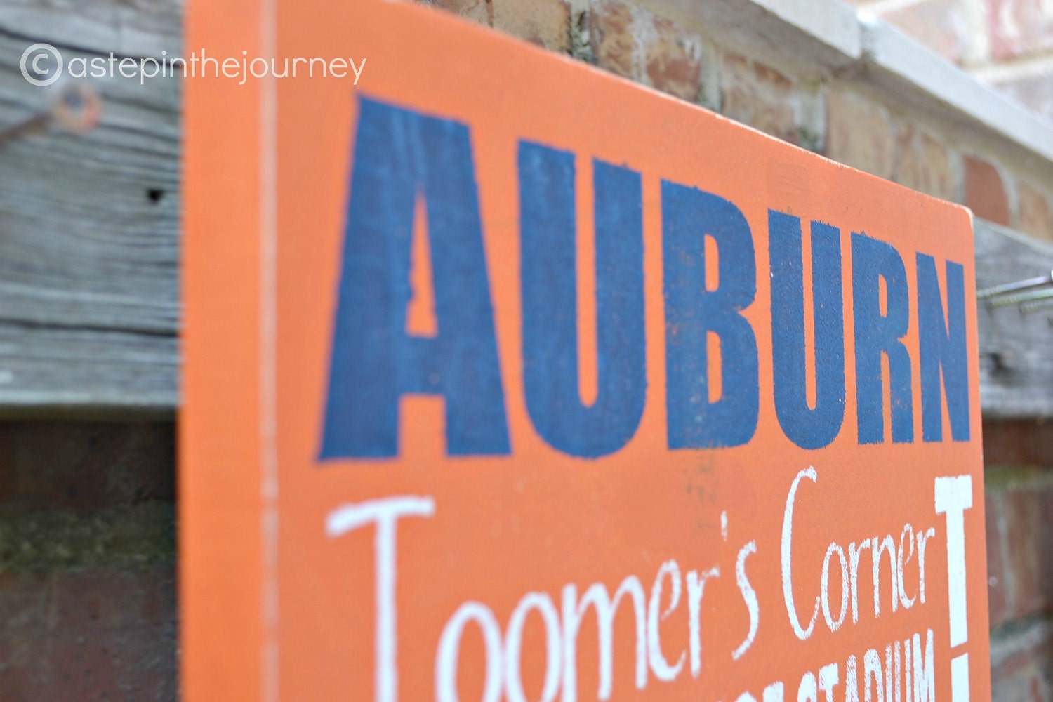 Auburn Tigers Subway Art