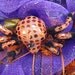 WITCHES BOOTS HALLOWEEN Wreath