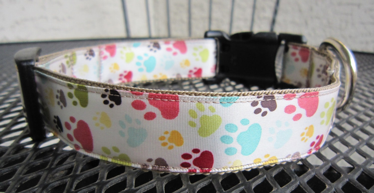 Paw Prints Multi-Color 1" Wide Adjustable Dog Collar