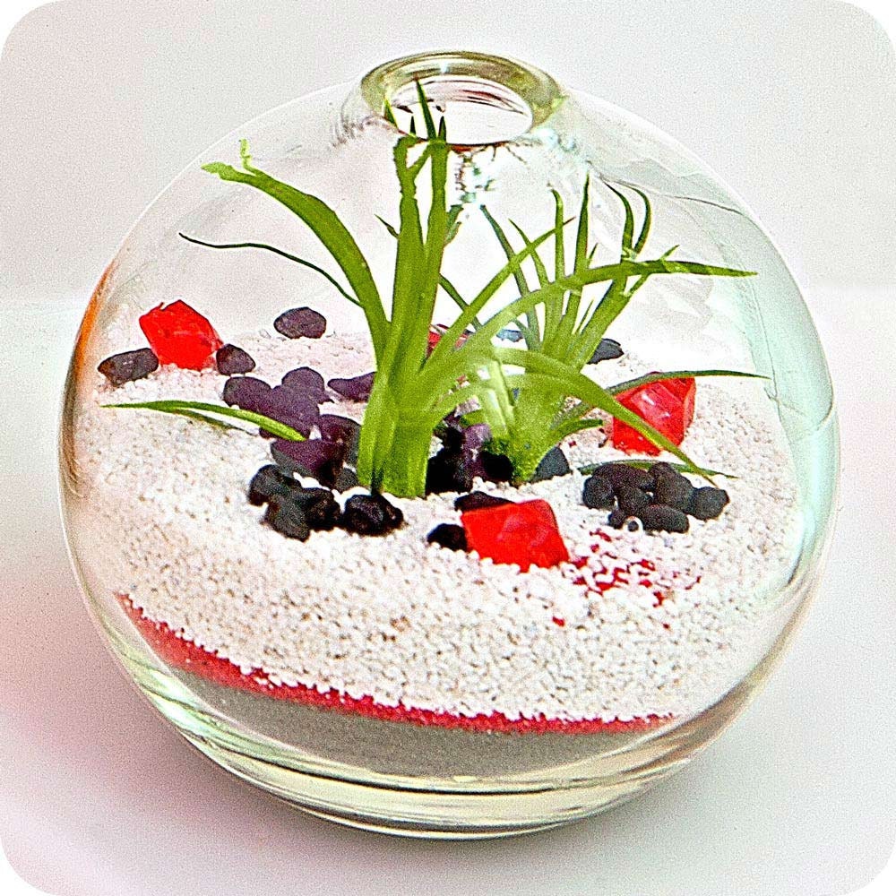 RED JEWELS mini terrarium - air plant terrarium, zen garden, sand glass terrarium, home decor, others day gifts, mothers day