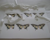 1 (set) 8 Butterfly Gift Tags