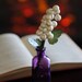 MILKY QUARTZ Pen Arrangement