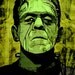 8 1/2 x 11 Inch Frankenstein Graphic Print