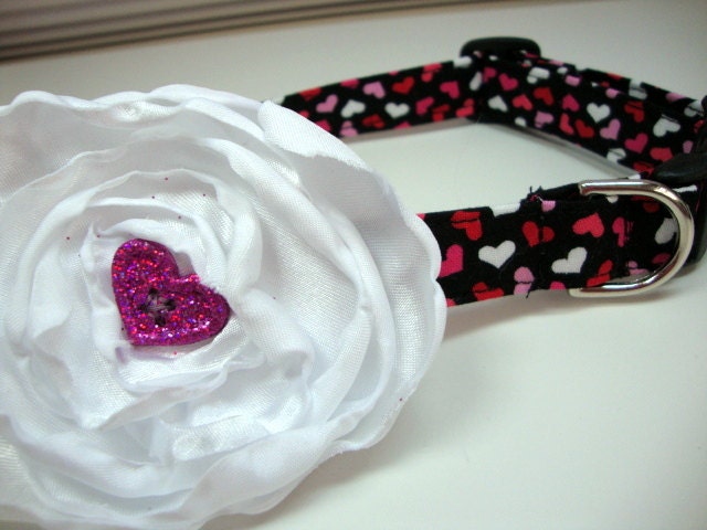Blooming Flower Hearts Valentine Dog Collars Medium