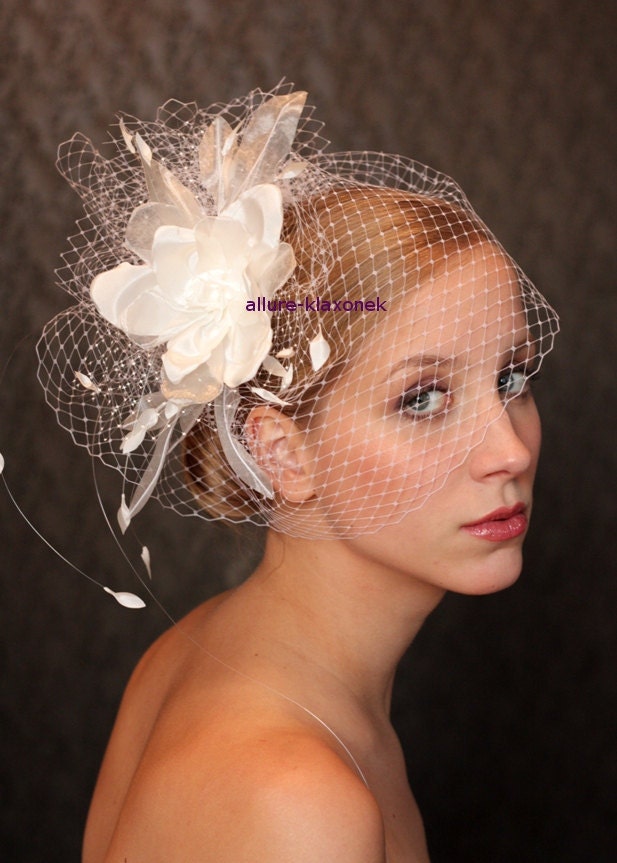 Fabulous BIRD CAGE VEIL , wedding headpiece. Amazing birdcage veil with  romantic wedding flower.
