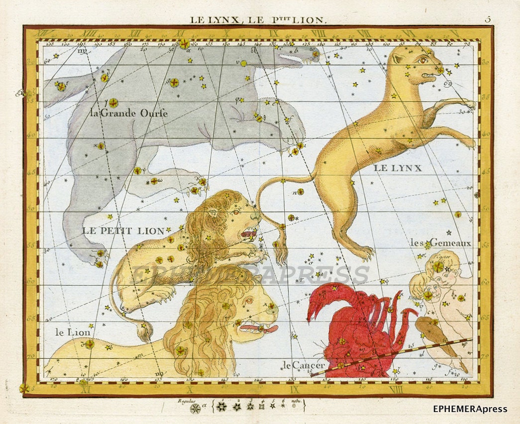 leo constellation map zodiac print lynx and lion
