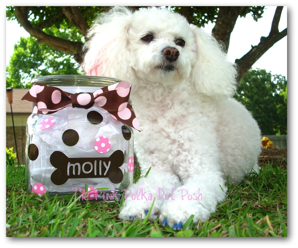 Personalized Dog Treat Jar to store your Doggies Treats in Style