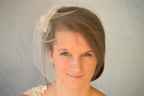 Birdcage veil blush tulle wedding comb hair accessory