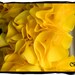 Yellow Ribbon Door Wreath