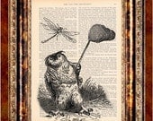 OWL INSECT COLLECTOR Vintage Art Print Antique 1800's Book Page or Dictionary Page Upcycled Recycled