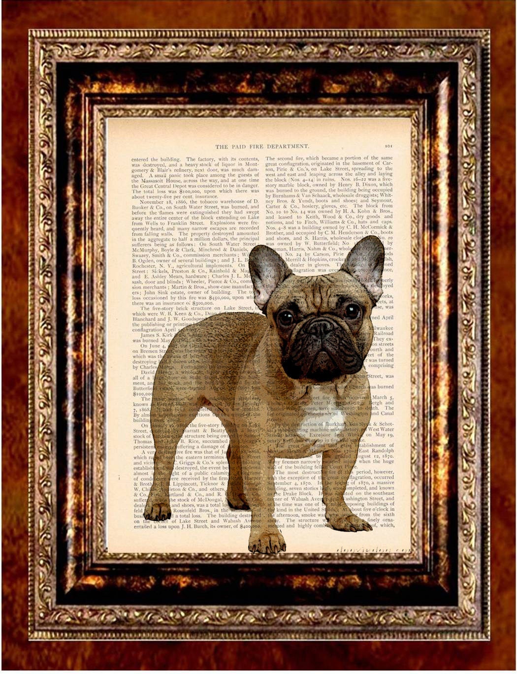 FRENCH BULLDOG Vintage Color Art Print Antique 1800's Book Page or Dictionary Page Upcycled Recycled