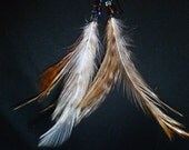 Striped Feather Earrings
