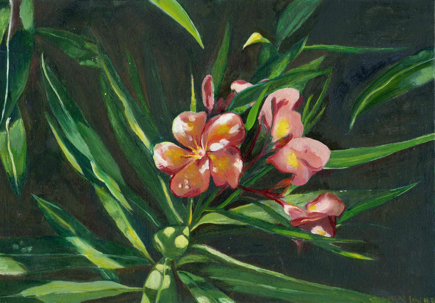 Flowers in the garden light oil painting on thin wood board. Fine art by Brandy Cattoor. Pink exotic flowers with leaves and light.