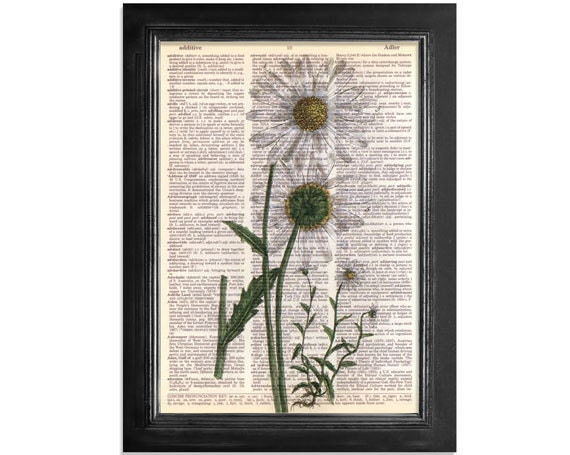 White Daisy Flowers - Botanical Art Print on Recycled Vintage Dictionary Paper - 8x10.5