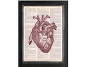 A Red Heart - Anatomy Art Print on Beautifully Upcycled Vintage Dictionary Paper - 8x10.5 Mixed Media Art Print