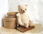 PATTERN to create Teddy like Bear Vanilly 9 inches