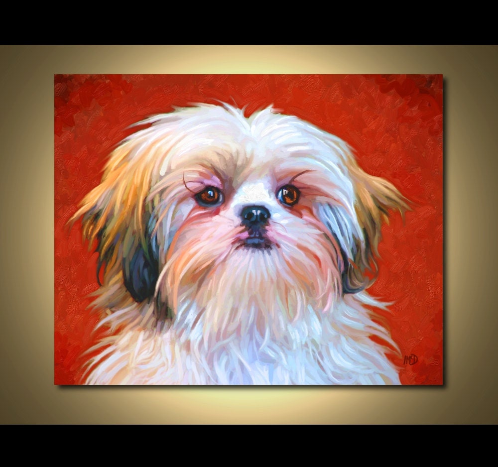 Shih Tzu Print - Shih Tzu Art Print 10x8