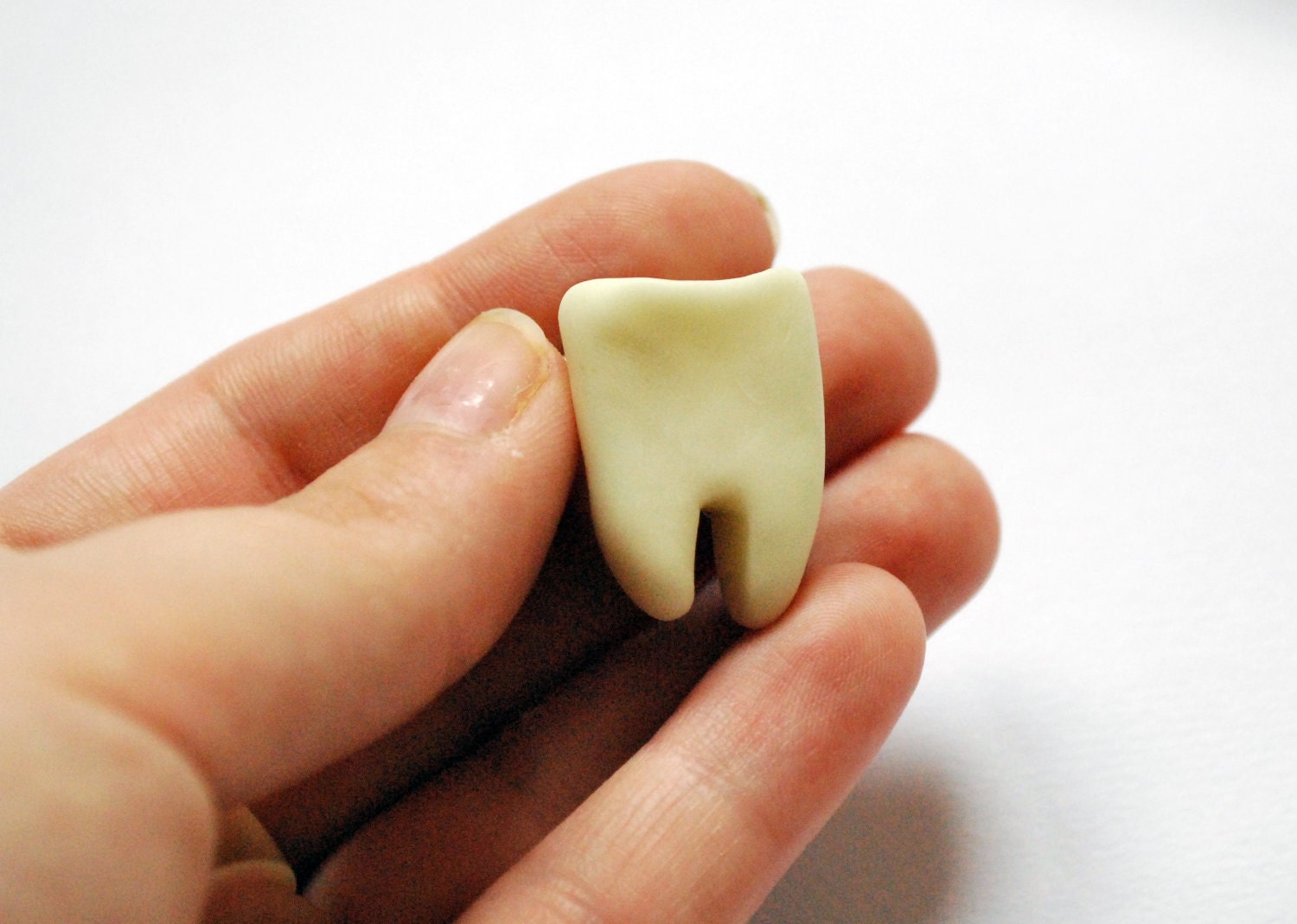 Tooth Brooch