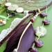 Dream Catcher  - Woodland - Unique - Green and Purple - Lace - Garden