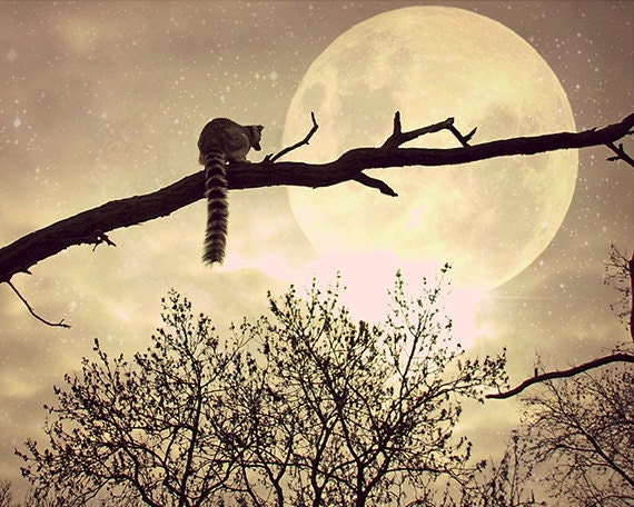 Surreal Photography - supermoon - stars - surreal fine art print - nursery art - wall art - night sky photograph - 8x10 Metallic print