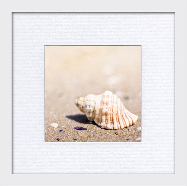 Beach photography nautical decor 5x5 inches coastal prints sea shell fine art photography seaside sand pastels