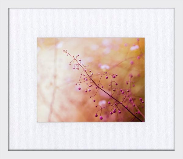 Botanical photograph - fine art photography pink 8x10 - abstract nature macro fine art photograph -  clickety - "Surreal"